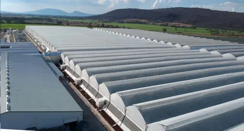 Clear Greenhouse Plastic Lifespan Explained: How Long It Really Lasts & How to Extend It thumbnail