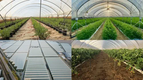 From California to China: Four Commercial Hoop-House Projects on Sites Totaling 1,142+ Acres thumbnail