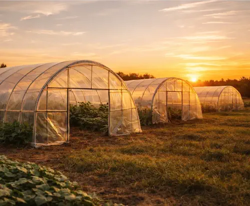 Hoop House Poly Plastic Guide: Film Types, Thickness & Installation Tips thumbnail