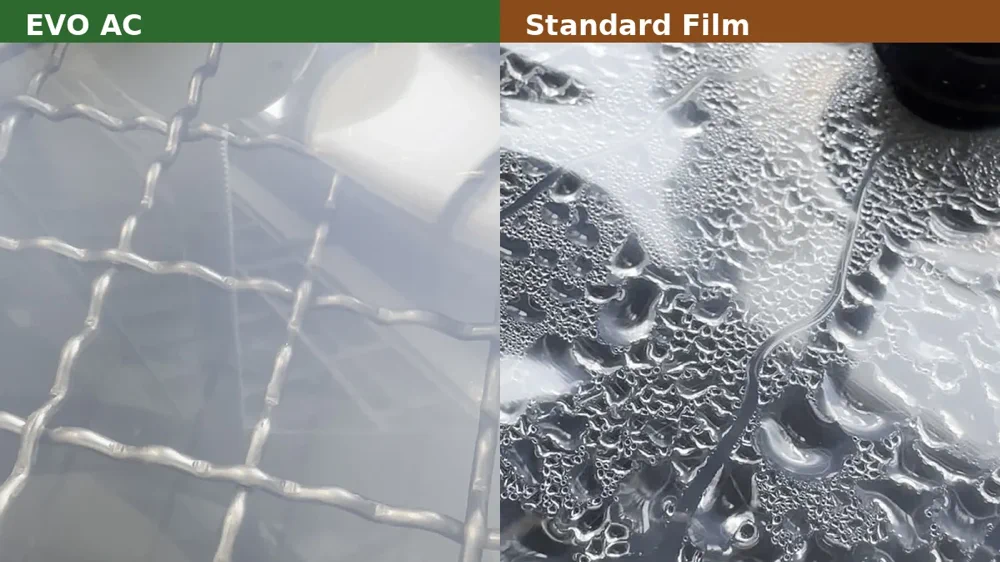 Side by side condensation comparison showing EVO AC film and standard greenhouse film