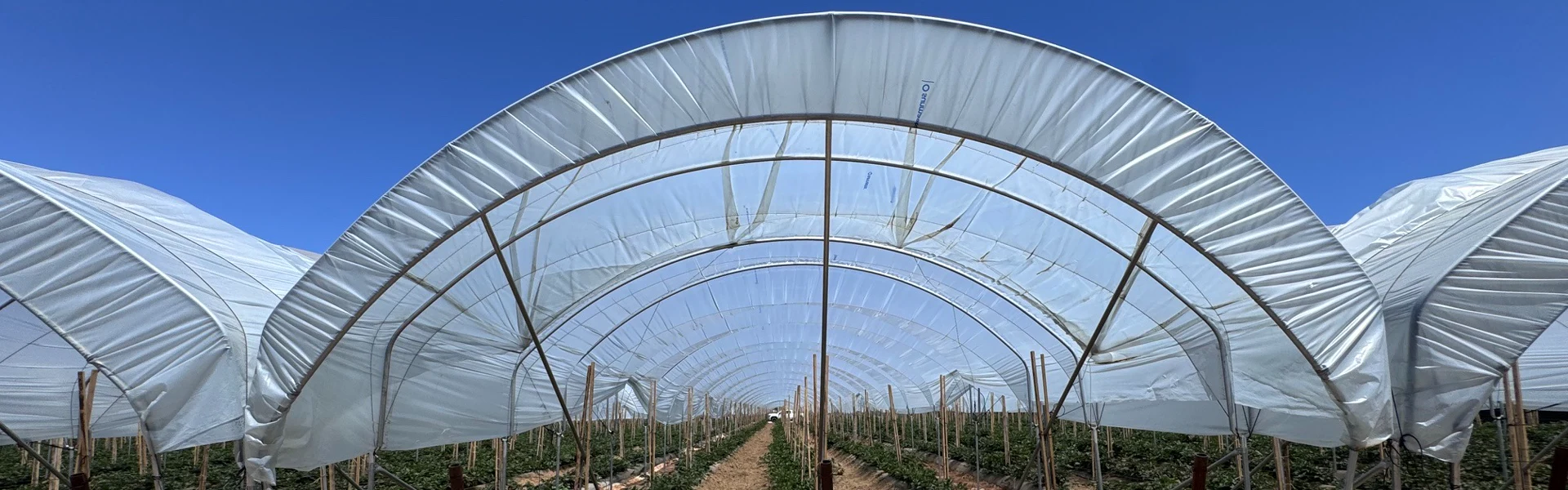 Why Anti-Condensation Greenhouse Film Still Drips thumbnail