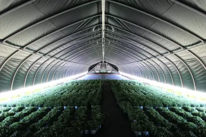 Light Deprivation Plastic 100% black-light control and white tarp for optimal growth main image