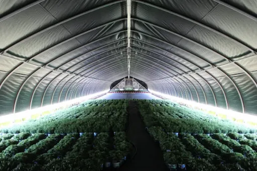 Light Deprivation Plastic 100% black-light control and white tarp for optimal growth main image