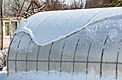 Over Winter Plastic better tear strength reduce the loss of energy superior protection for winter growing gallery image 3
