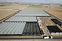 Aerial view of 11-acre Coachella cannabis autoflower hoop house project site