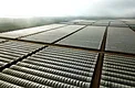 Aerial view of the large-scale hoop-house strawberry project in Nipomo, California