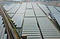 Aerial view of 321-acre substrate raspberry hoop house project in Xishuangbanna Yunnan China